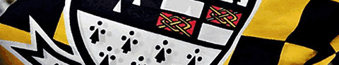 Kilkenny Flag and Coat of Arms
