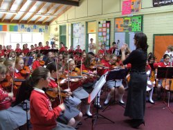camerata iraland