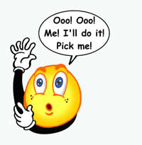 volunteering kilkenny krsp