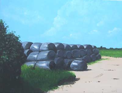 tony an tony edward alford jenifr an carroll