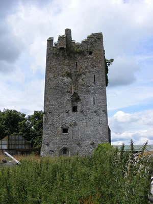 Ballyragget Castle