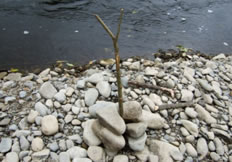 fishing stick river nore