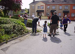 Community Cleaning Estate in Kilkenny