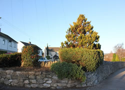 Thomastown Local Authority Estate