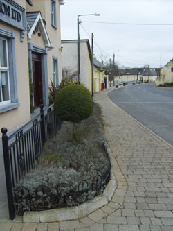 Main Street, Dunamaggin