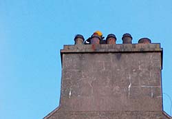 Firemen on the roof of Castle Blunden 2005