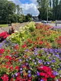 Amenity grant scheme picture 2